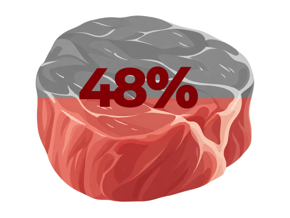 BEEF 단백질 48%