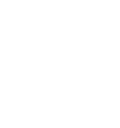 U.S. BEEF