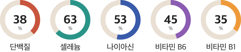 돼지고기 다짐육 영양정보