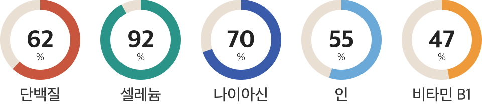 베이컨 영양정보