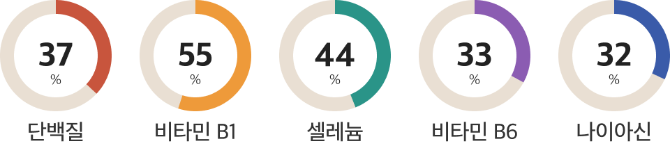 돼지고기 앞다리살 영양정보
